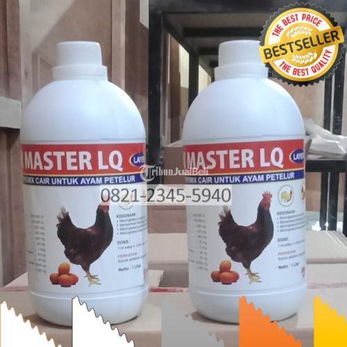 Vitamin Ayam Petelur Umur 14 Minggu Wringin Agung Banyuwangi