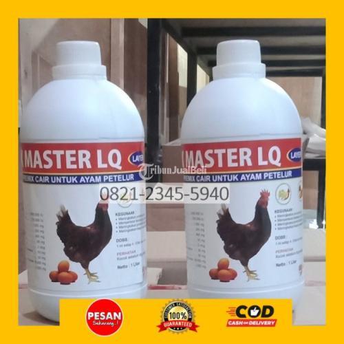 Vitamin Ayam Petelur Umur 14 Minggu Wringin Agung Banyuwangi