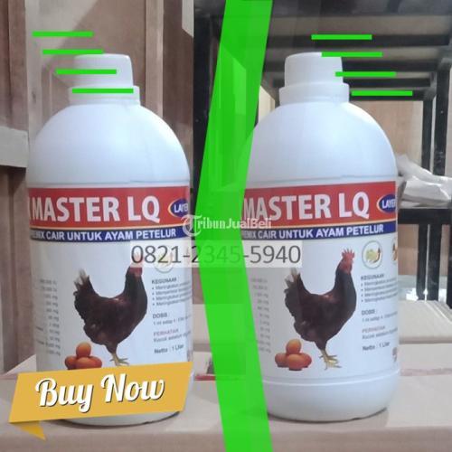 Obat Untuk Meningkatkan Produksi Telur Ayam Plosorejo Blitar