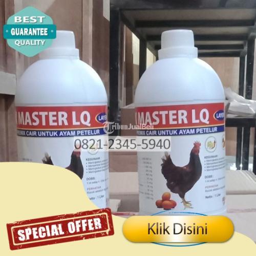 Peningkat Produksi Telur Ayam Plumpungrejo - Blitar