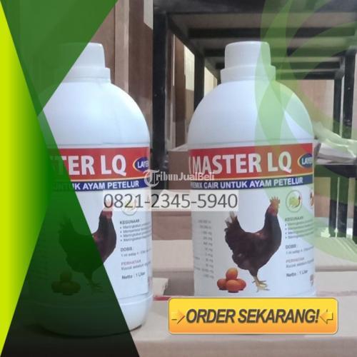 Premix Ayam Layer Rejowinangun - Blitar