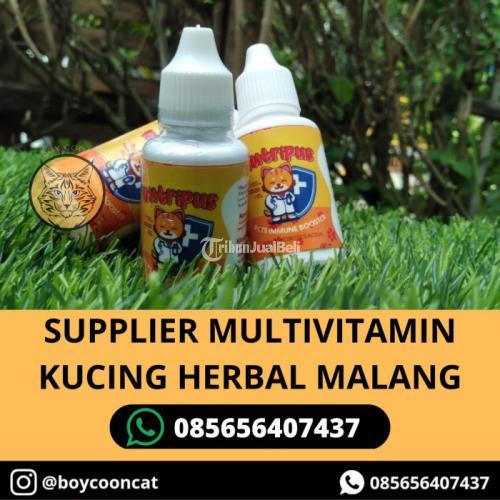 SUPPLIER MULTIVITAMIN KUCING HERBAL MALANG