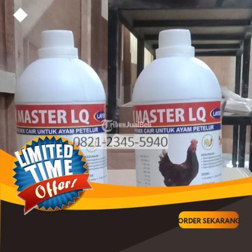 Obat Ayam Petelur Purwoasri Banyuwangi