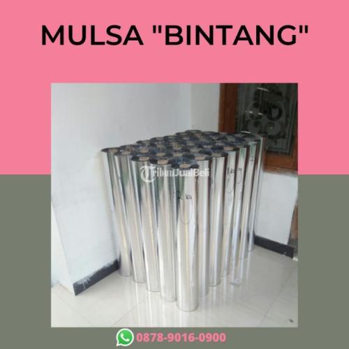Kualitas Terjamin, WA+6287890160900, Produsen sungkup plastik tanaman cabe Jombang