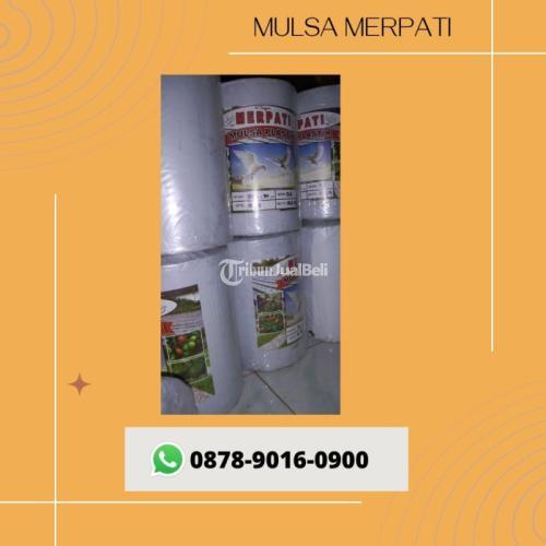 Kualitas Terjamin, WA+6287890160900, Produsen sungkup plastik tanaman cabe Jombang