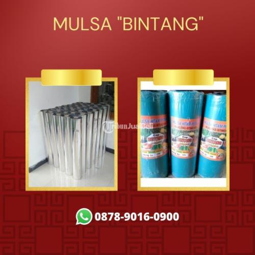 Kualitas Terjamin, WA+6287890160900, Produsen sungkup plastik tanaman cabe Jombang