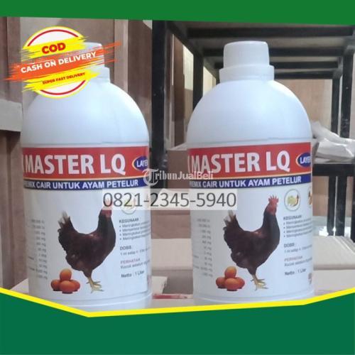 Suplemen Untuk Ayam Petelur Satreyan Blitar