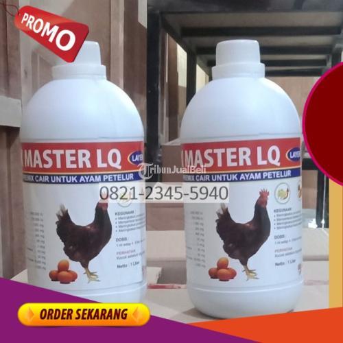 Vitamin Anak Ayam Petelur Bumirejo Blitar