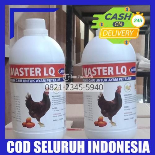 Vitamin Anak Ayam Petelur Bumirejo Blitar