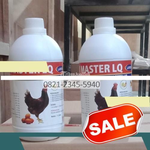 Vitamin Anak Ayam Petelur Bumirejo Blitar