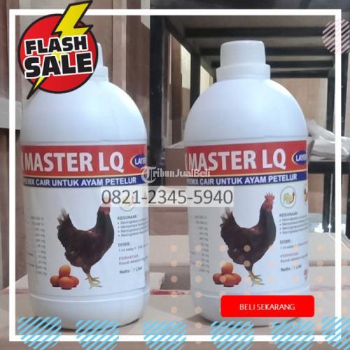 Vitamin Asam Amino Untuk Ayam Petelur Jugo Blitar