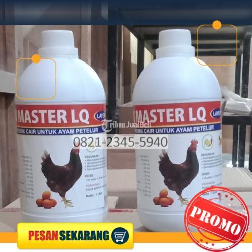 Vitamin Cangkang Telur Lembek Jiwut Blitar