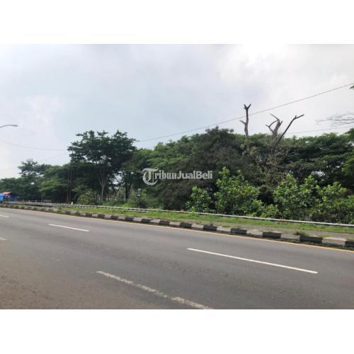 Dijual Tanah Purwodadi Nol Jalan Di Malang Tribun Jualbeli