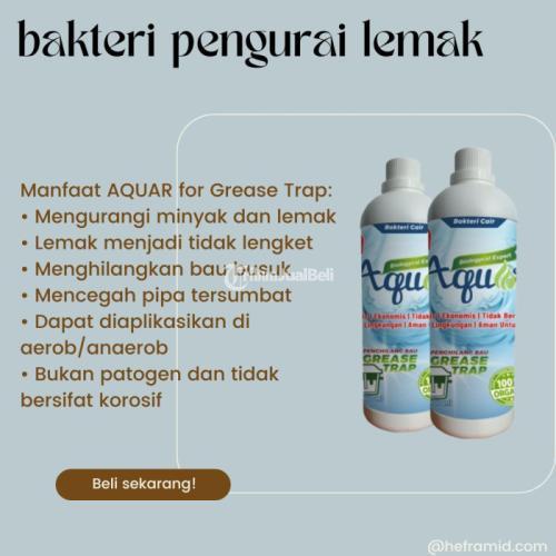 BakteriPpenghasil Enzim Lipase - Bogor