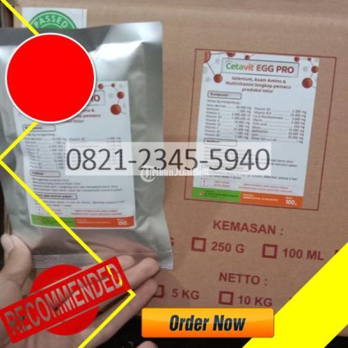 Vitamin Ayam Petelur di Sawah Lunto Tribun JualBeli