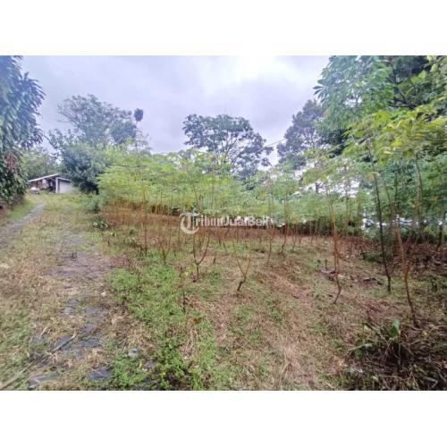 Dijual Tanah Best View di Cijayanti dekat Sentul City - Bogor