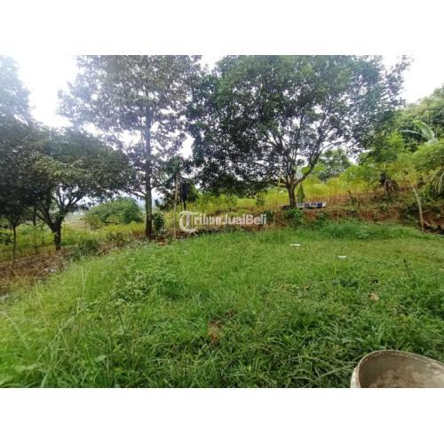 Dijual Tanah Best View di Cijayanti dekat Sentul City - Bogor