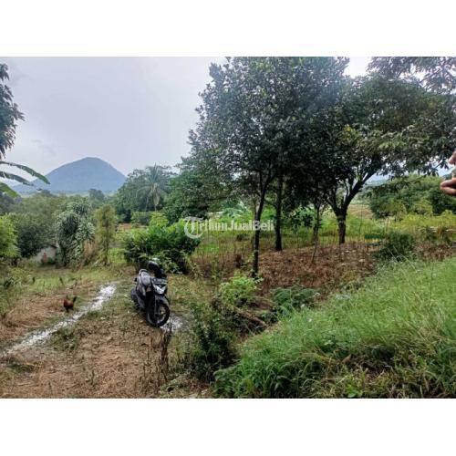 Dijual Tanah Best View di Cijayanti dekat Sentul City - Bogor
