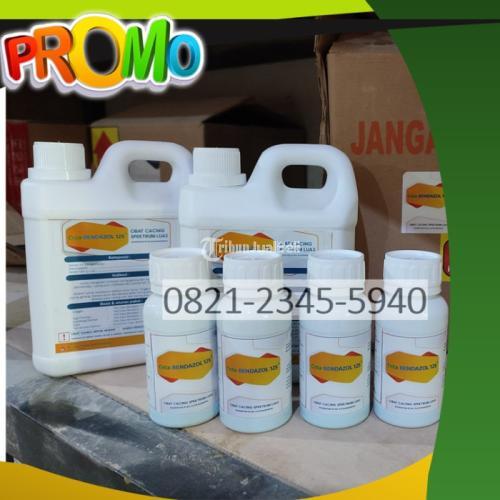 Obat Cacing Sapi Ampuh Alami - Surabaya