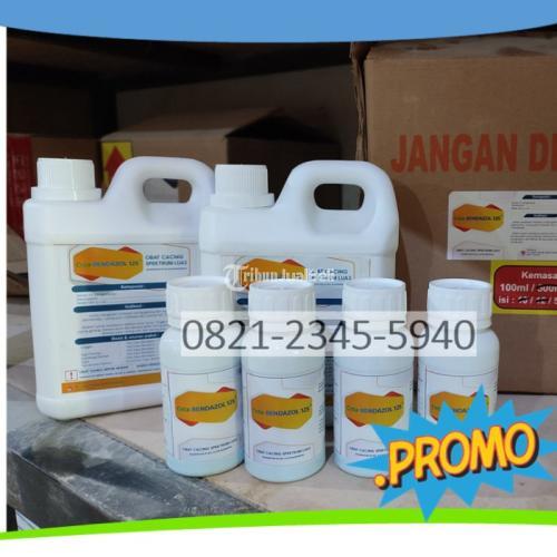 Obat Cacing Sapi Ampuh Alami - Surabaya