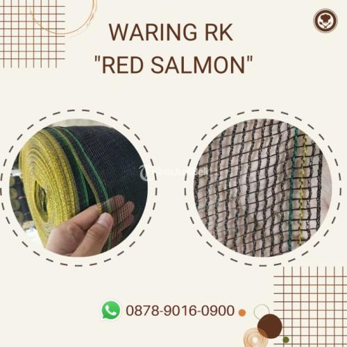 Kualitas Terjamin Agen waring RK  - Surabaya