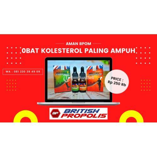 Obat Kolesterol Tinggi Di Blitar : British Propolis