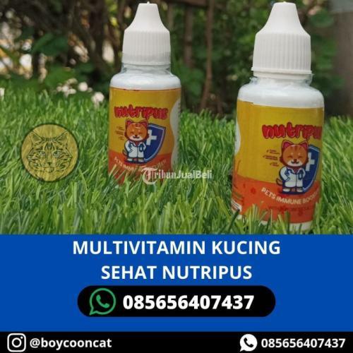 MULTIVITAMIN KUCING SEHAT NUTRIPUS