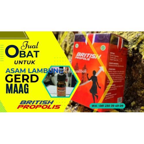 WA 0812-3039-4909, Obat Asam Lambung Untuk Ibu Hamil di Klaten Jawa Tengah : British Propolis