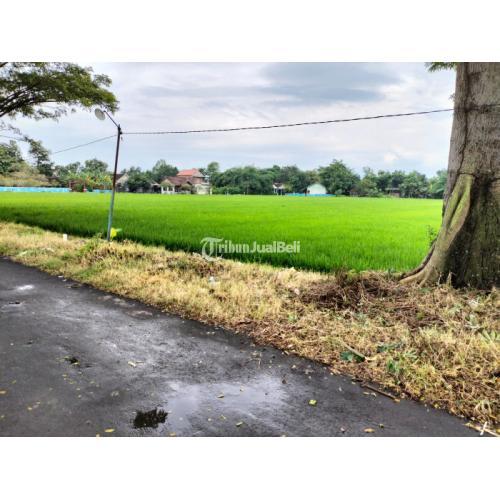 Dijual Sawah 5000 Gentan Manang Solo Area Perumahan - Solo