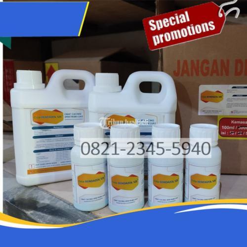 Pabrik Obat Cacingan Pada Sapi Rembang