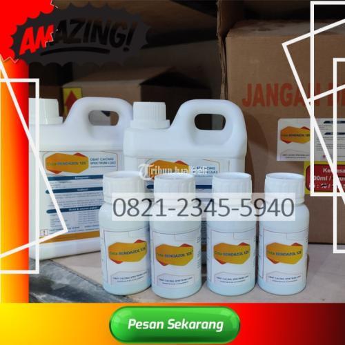 Pabrik Obat Cacingan Pada Sapi Rembang