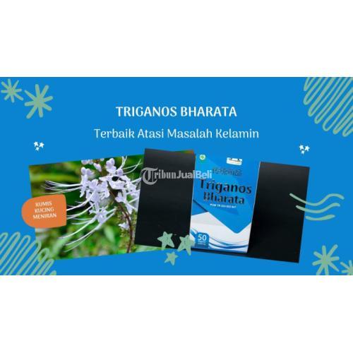 BUAT ANDA YANG PUNYA KELUHAN PENYAKIT KELAMIN TRIGANOS BHARATA OBATNYA