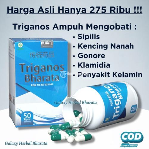 OBAT HERBAL TRIGANOS BHARATA AMAN UNTUK DI PAKAI