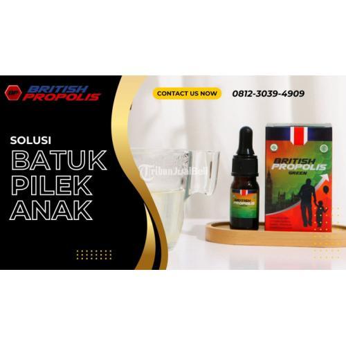 Obat Demam Anak Dari Dokter : British Propolis Green di Blitar