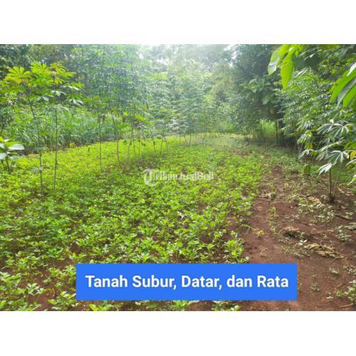 Tanah Siap Bangun LT961 Legalitas SHM Pekarangan Gunung Kid