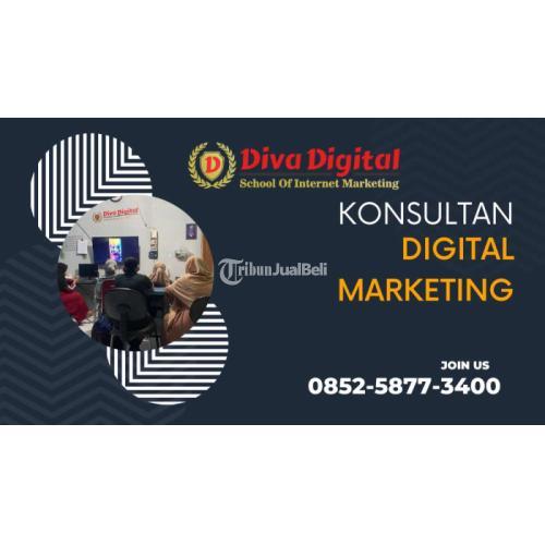 Konsultan Internet Marketing Organik di Banyuwangi