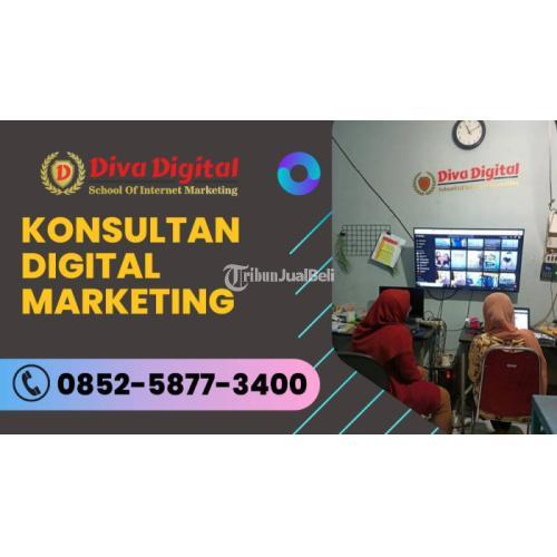 Konsultan Internet Marketing Organik - Bojonegoro