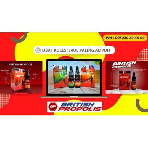 Obat Kolesterol Jahat Ampuh Di Blitar : British Propolis