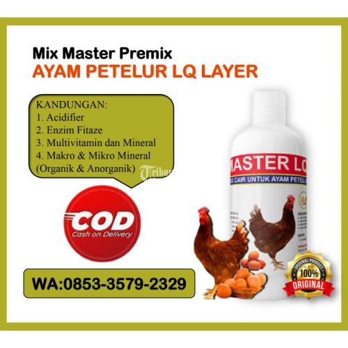 Mix Master Vitamin Cair Ayam Petelur Terbaik Di Kota Malang Tribun