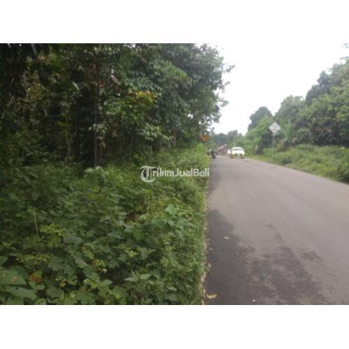 Dijual Tanah Kebun Pinggir Jalan Raya Siap Bangun - Lebak