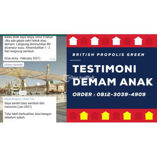 Obat Demam Anak Naik Turun : British Propolis Green di Blitar