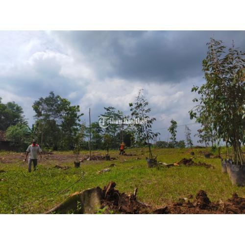 tanah pekarangan bendosari sukoharjo