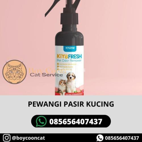 PEWANGI PASIR KUCING
