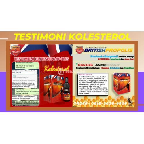 Obat Kolesterol Pada Kaki Di Blitar : British Propolis