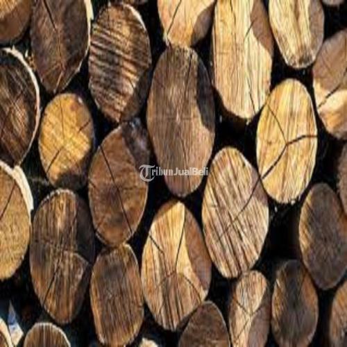 Kayu Jati Belanda - Tribun JualBeli