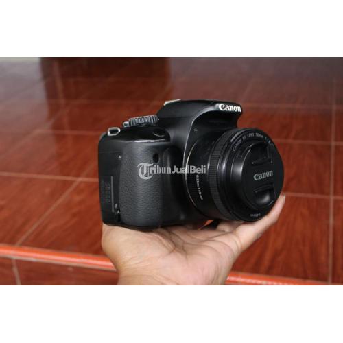 Kamera DSLR Canon 550D Lensa Fix 50mm STM Bekas Normal Sensor Bersih di