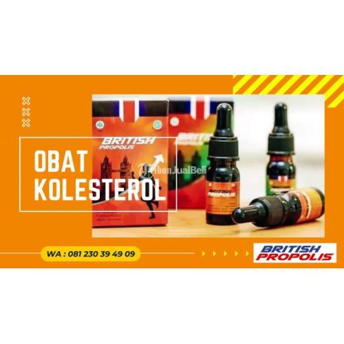 Obat Kolesterol Ringan  British Propolis - Blitar