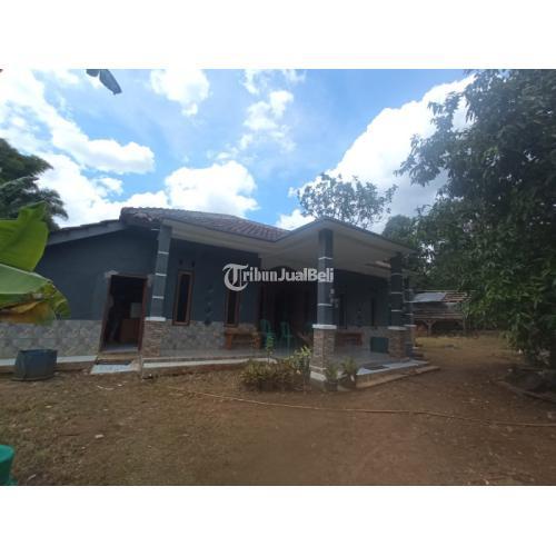 BELI TANAH DAPAT RUMAH