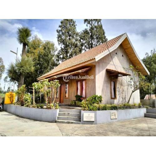 Sewa Villa Seruni Point 2 Gunung Bromo Dekat Jembatan Kaca