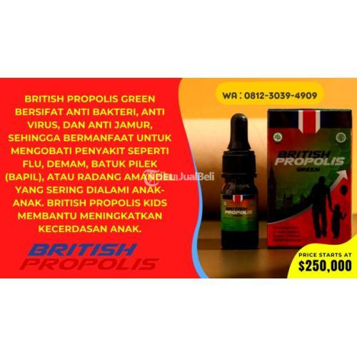 Obat Penurun Panas Untuk Anak Usia 8 Tahun Alami : British Propolis Green di Blit